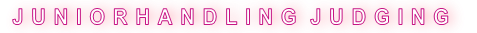 J U N I O R H A N D L I N G  J U D G I N G